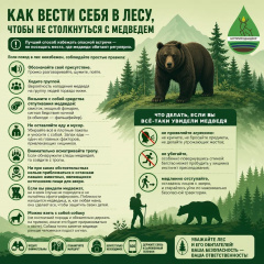 � ������� ���������� ���������� ���������-���������� ����������� ������ ������ ��������