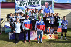 Районный фестиваль детского футбола Районный фестиваль детского футбола